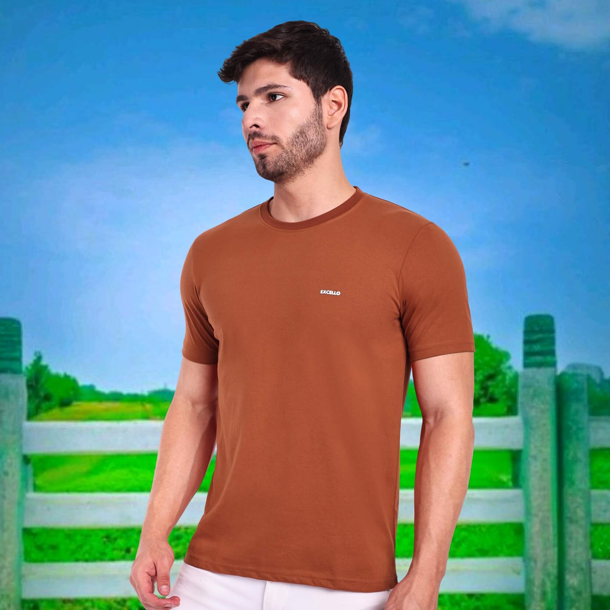 Men's 100% Pure Cotton T-Shirt – Regular Fit | Soft, Breathable & Stylish